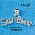 C2648 - Survivor - Pendant with bail - Silver Charm